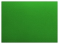ROAL 500x350x20 мм (полипропилен) зеленая