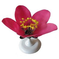 Модель Цветок персика