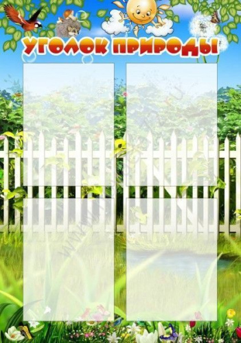 Стенд Уголок природы Стенд Уголок природы
