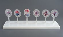 Модель Митоз и мейоз в клетке