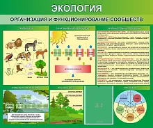 Стенд Экология Организация и функционирование сообществ, арт. ШК-0753