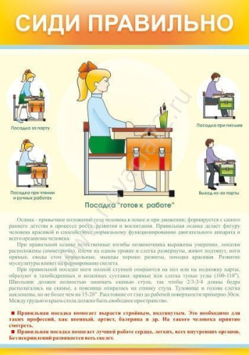 Стенд Сиди правильно, 0,7х1 м