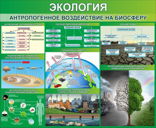 Стенд Экология. Антропогенное воздействие на биосферу, 1100х900 мм