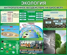 Стенд Экология Антропогенное воздействие на биосферу, арт. ШК-0751