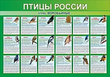 Стенд Птицы России часть 3, арт. ШК-0766