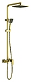 TIMO Selene SX-1030/17 с верхней душевой лейкой "Тропический дождь", золото матовое TIMO Selene SX-1030/17 с верхней душевой лейкой "Тропический дождь", золото матовое