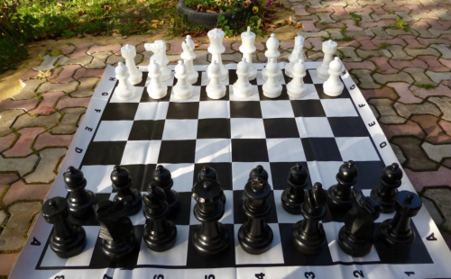 Поле шахматное виниловое 140х140 см Поле шахматное виниловое 140х140 см