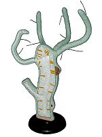 Модель Гидра