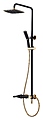LEMARK Swan LM5462BG с верхней душевой лейкой "Тропический дождь", черный/золото LEMARK Swan LM5462BG с верхней душевой лейкой "Тропический дождь", черный/золото