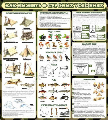 Стенд в школу Как выжить в суровых условиях, 0,9х1 м