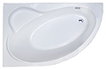 Royal Bath ALPINE RB819101 160x100x58L см, акрил Royal Bath ALPINE RB819101 160x100x58L см, акрил